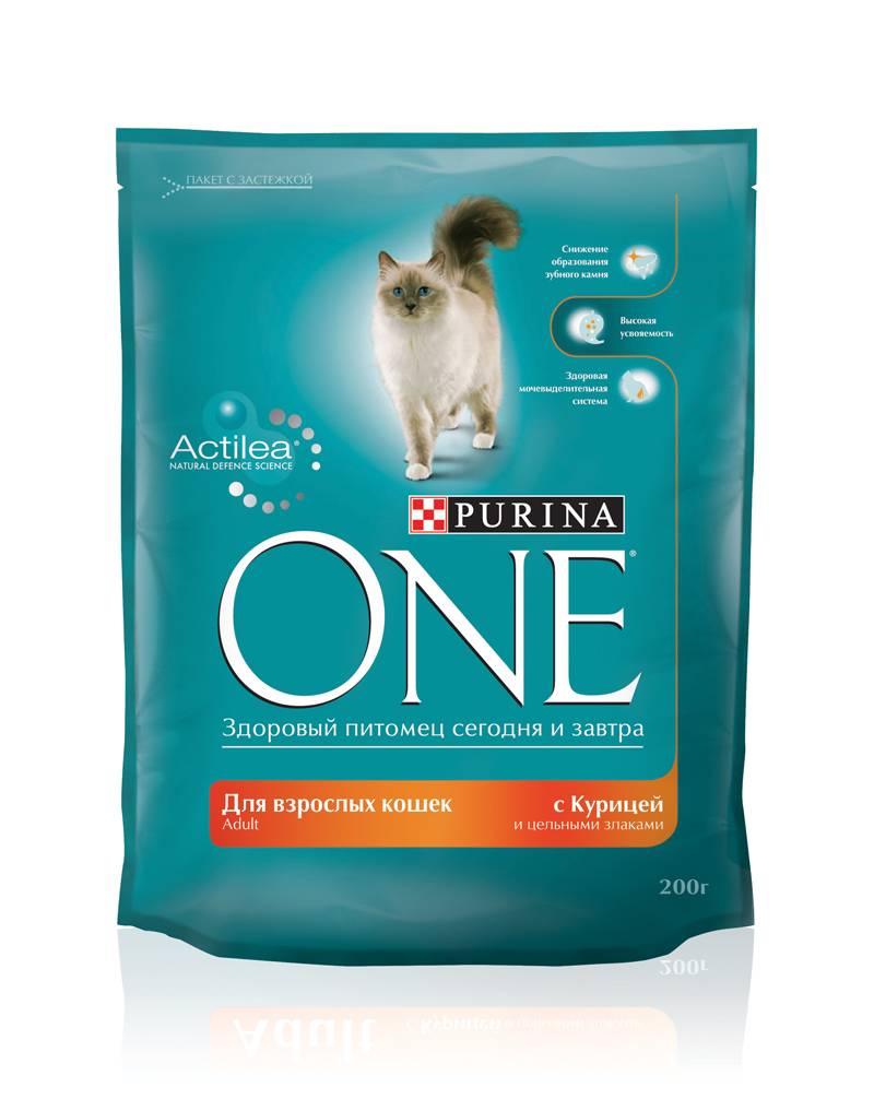 Корм purina one для кошек: сухой, влажный, отзывы ветеринаров
