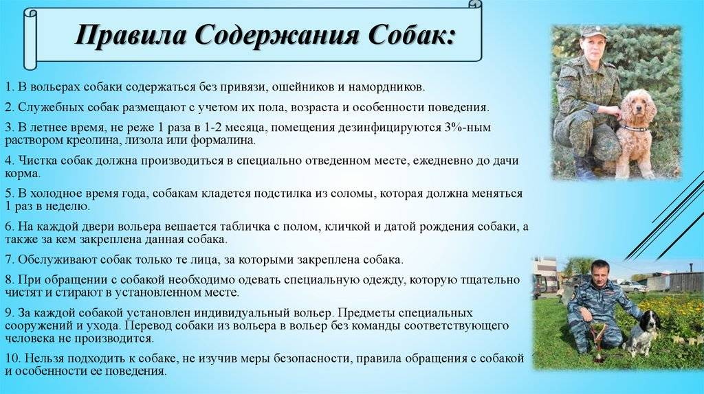 Можно ли православному христианину держать дома собаку