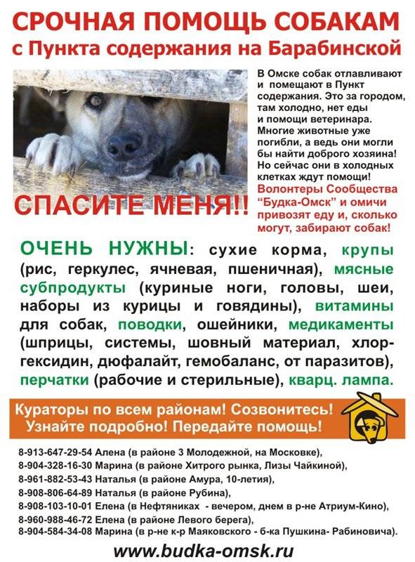 Собака в доме по православию