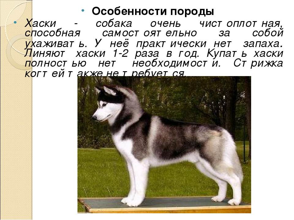 Нужно ли сбивать температуру у детей?