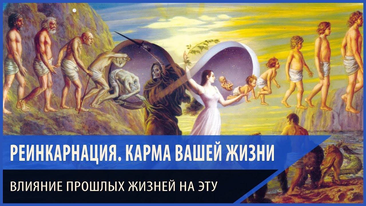 Что происходит с душами животных после их смерти? :: инфониак