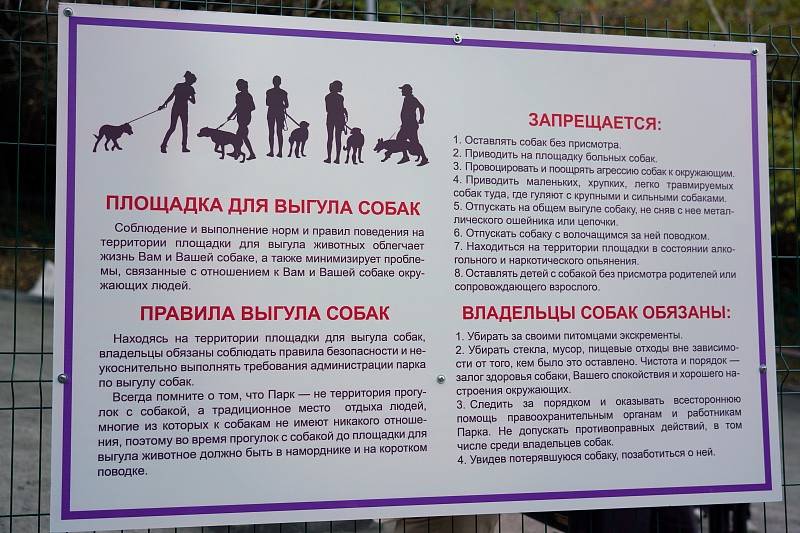 Правила содержания и выгула собак по новому закону