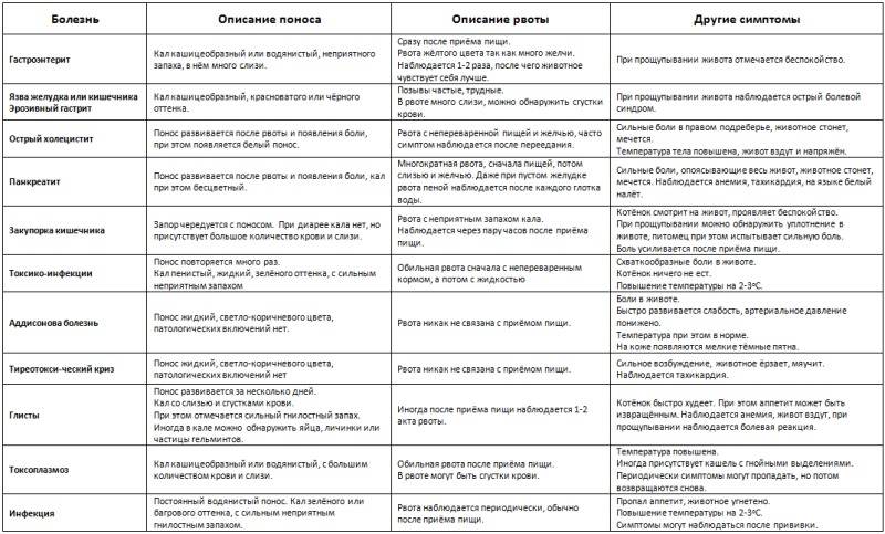 Почему у котёнка понос?