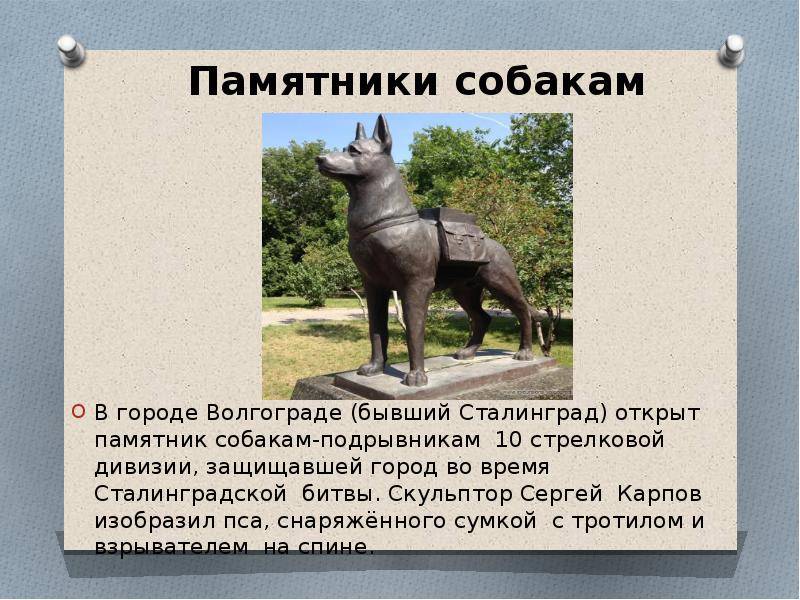Памятники собакам    [занимательное собаковедение]