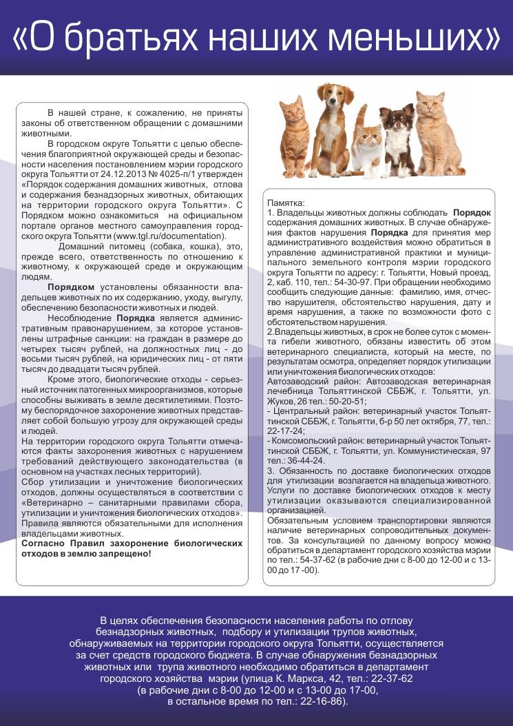 Собака в доме по православию — отношение церкви к собакам