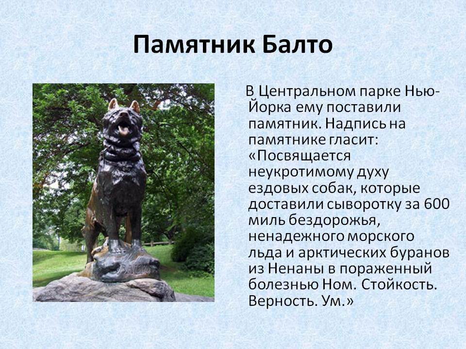 Рассказ о любом памятнике. Памятник собаке Балто. Памятник собаке Балто в Нью-Йорке. Памятник псу Балто. Памятник ездовым собакам в Нью Йорке.