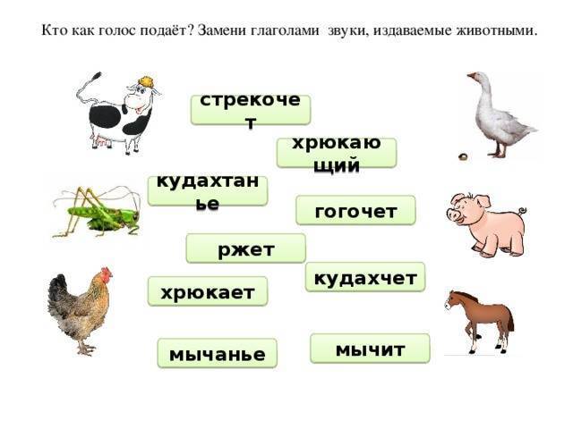 Как разговаривают живо. Кто как голос подает. Какие звуки издают животные. Животные которые издают звуки. Кто как подает голос из животных.