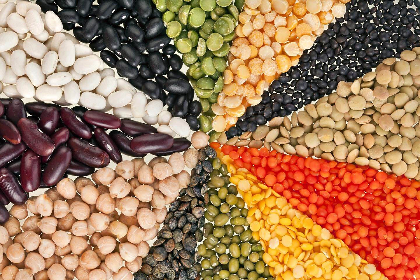 Чем можно кормить джунгариков в домашних условиях? список продуктов для хомяков, рекомендации ветеринаров