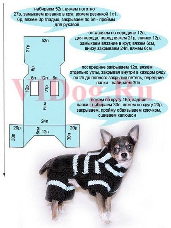 Он-лайн по свитеру для собаки (кошки) - вяжем вместе он-лайн - страна мам