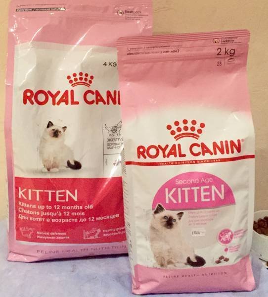 Корм для кошек роял канин (royal canin): обзор, виды, состав, отзывы