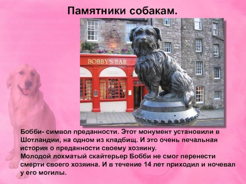 12 известных памятников самым преданным собакам в мире