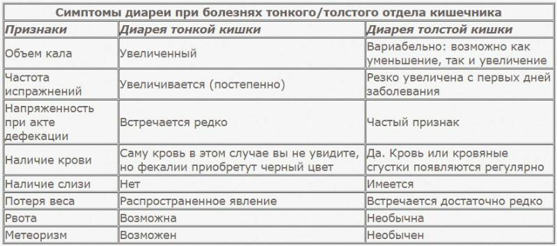 Понос у шиншиллы: что делать при нарушении пищеварения и жидком стуле (симптомы, профилактика и лечение диареи)