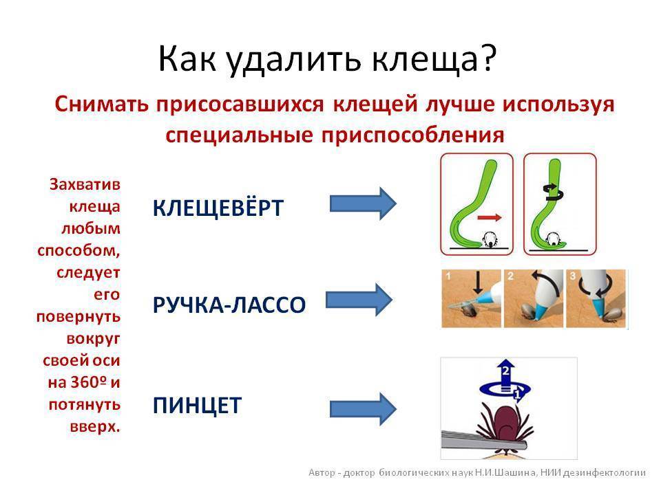 Как удалить клеща картинки