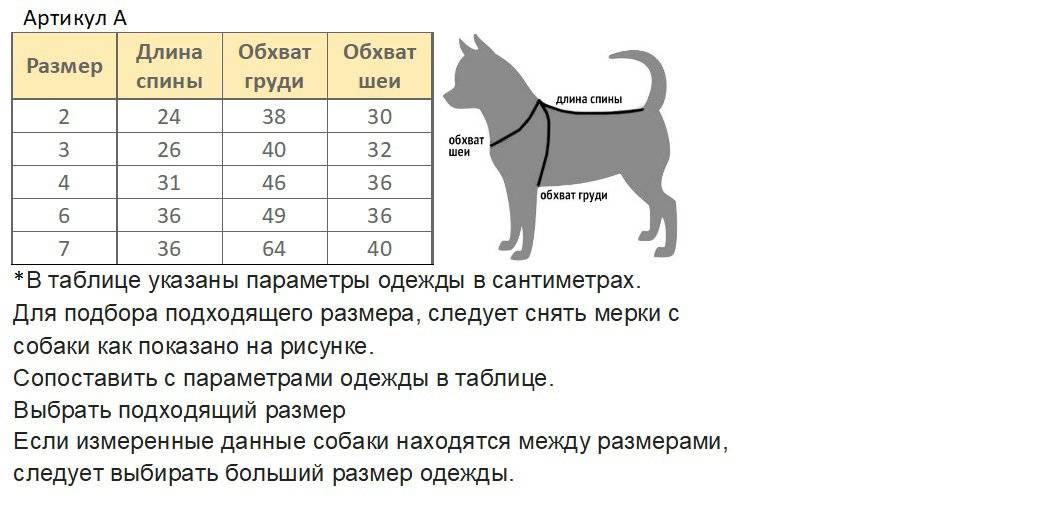 Как выбрать комбинезон для собаки по размеру