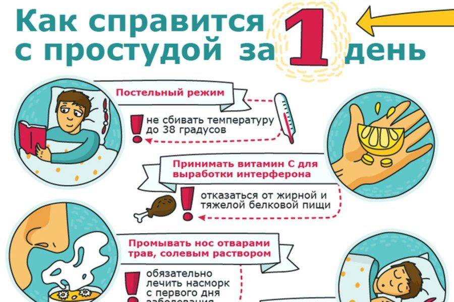 Простуда и насморк у хомяка