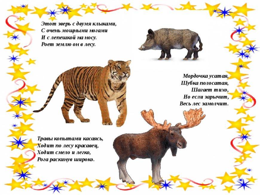 Загадки про животных с ответами для 2-3 класса