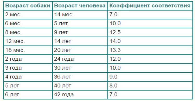 Возраст щенка. Сколько спят щенки. Сколько должен спать щенок. Сколько спят собаки в день. Сколько часов должен спать щенок.