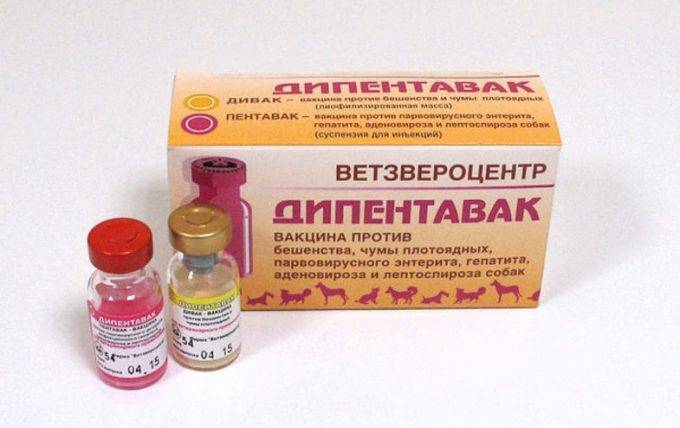 (nobivac rabies), . 1  (1 ).  ()   — «»,   «»