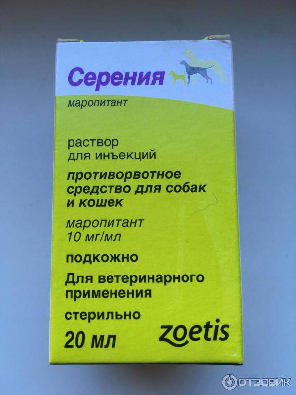 Саксенда - новый препарат для похудения. действие, показания, дозировка | университетская клиника