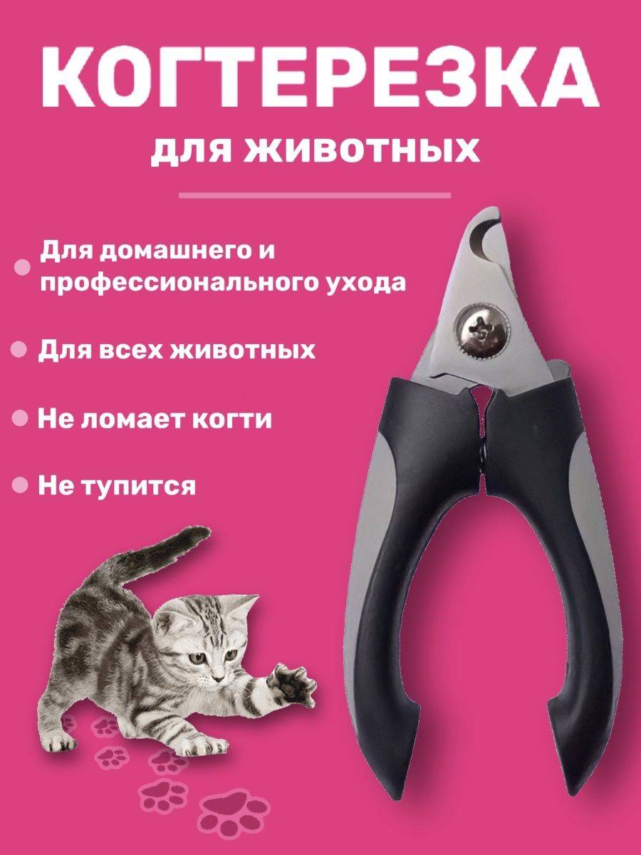 Приспособления для ухода за когтями у собаки: когтерезки, гильотины, ножницы
