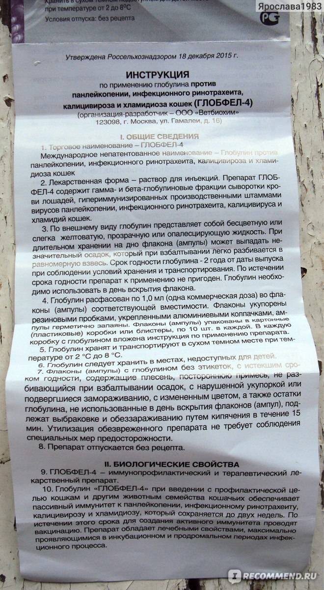 Глобфел-4 для кошек: защита питомца от серьёзных инфекций