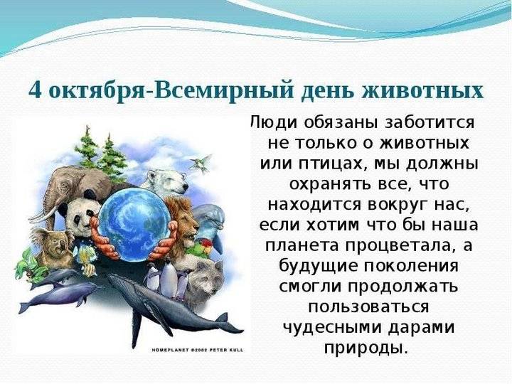 Всемирный день защиты животных: как отмечается праздник в рф?