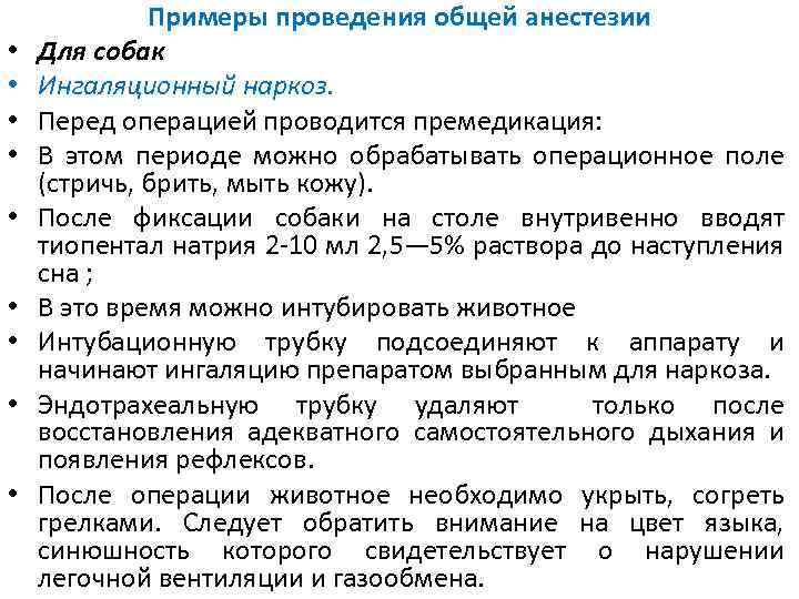 Сколько кошка отходит от наркоза после стерилизации
