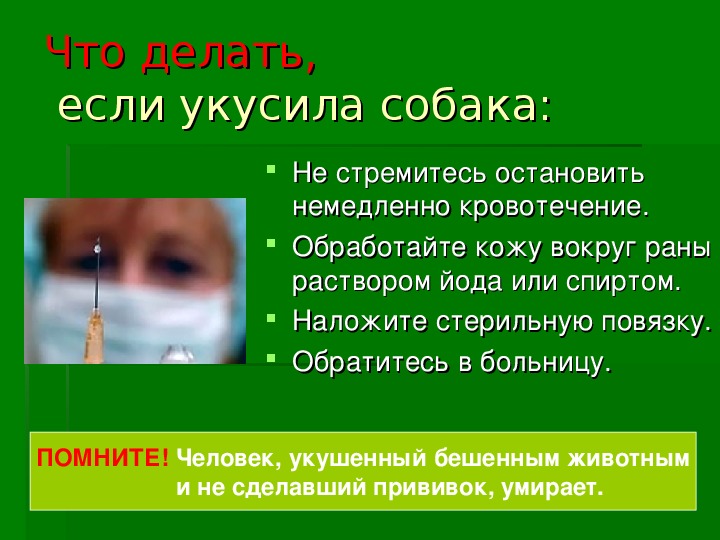 Обязательно ли обращаться в больницу и к каким врачам, когда укусил пес