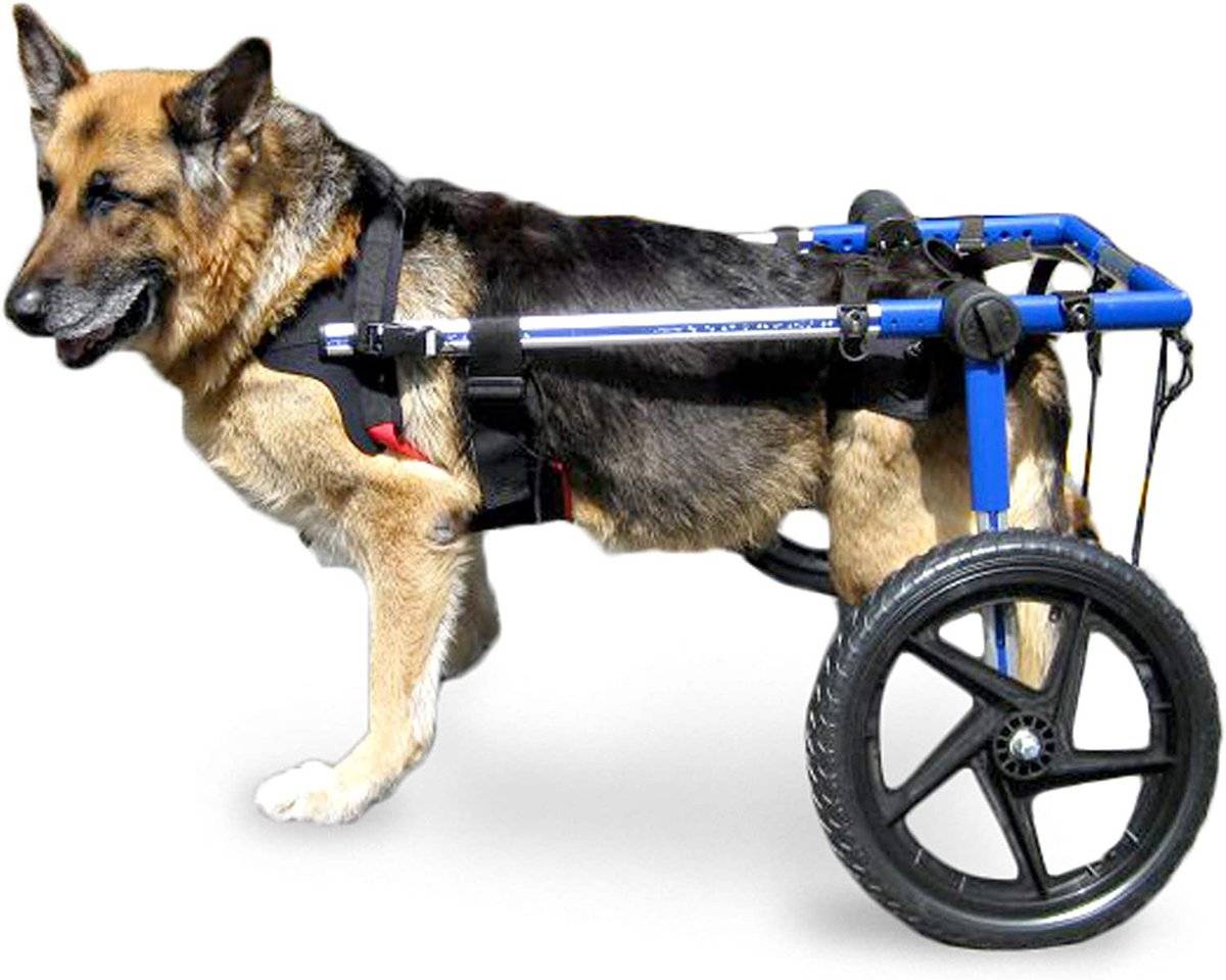 Оборудование для инвалидов в автомобиль рампы для заезда в автомобиль системы фиксации инвалидных  колясок в транспорте ручное управление автомобилем дублирующие педали менокс safe systems