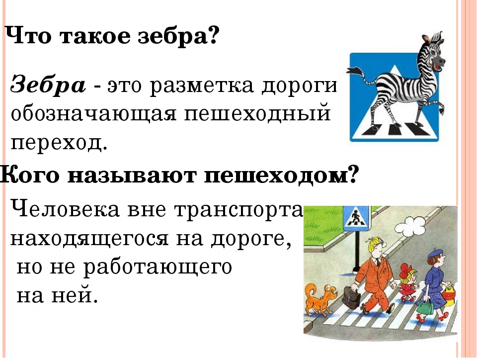 Приметы о черной кошке: что значит, когда животное перебегает дорогу