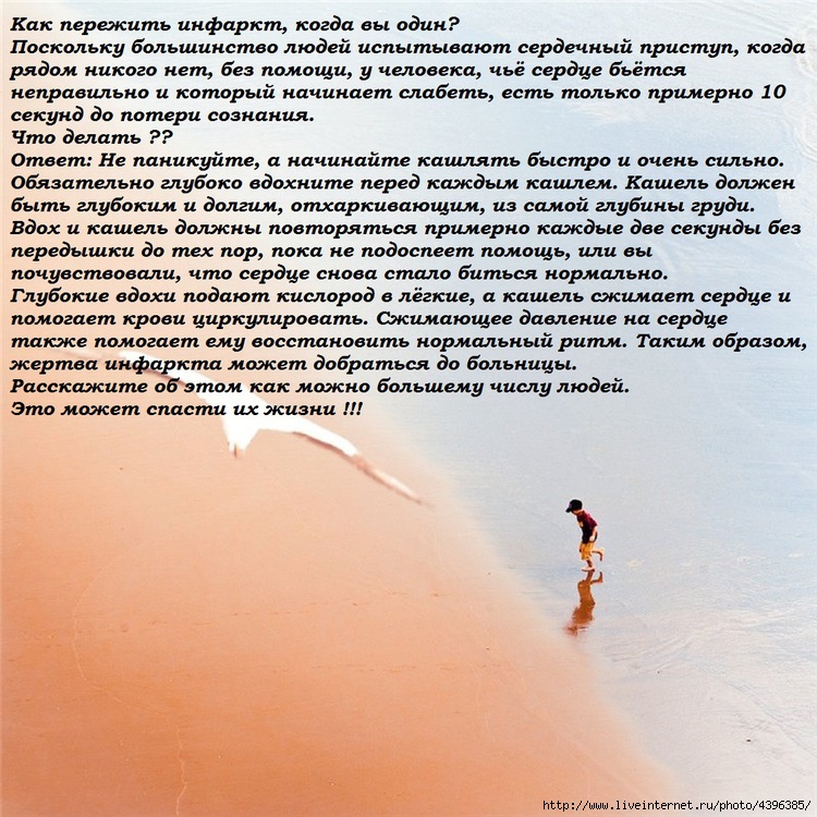 У меня умерла собака