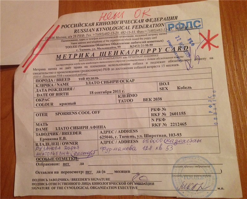Как зарегистрировать щенка в ркф?