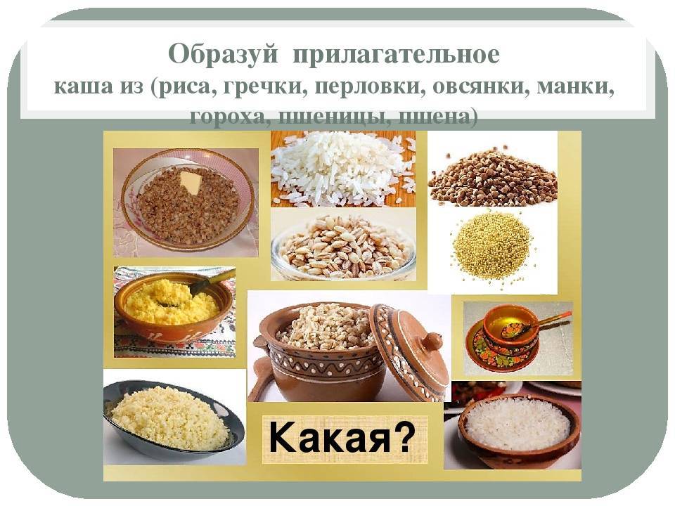 Можно ли кормить кошек кашей манной