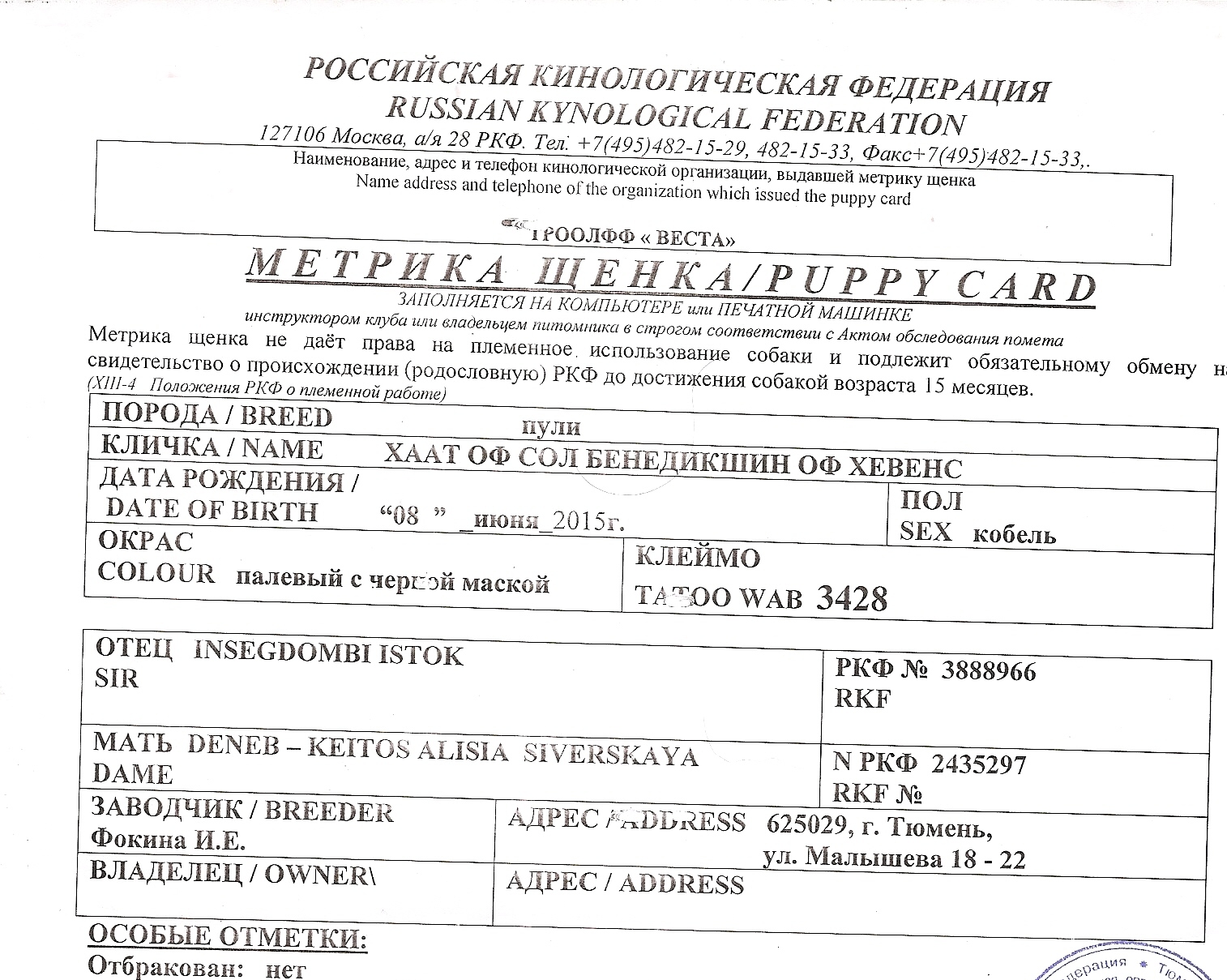 Документы ркф на собаку: что это, какие обязательные, зачем нужны