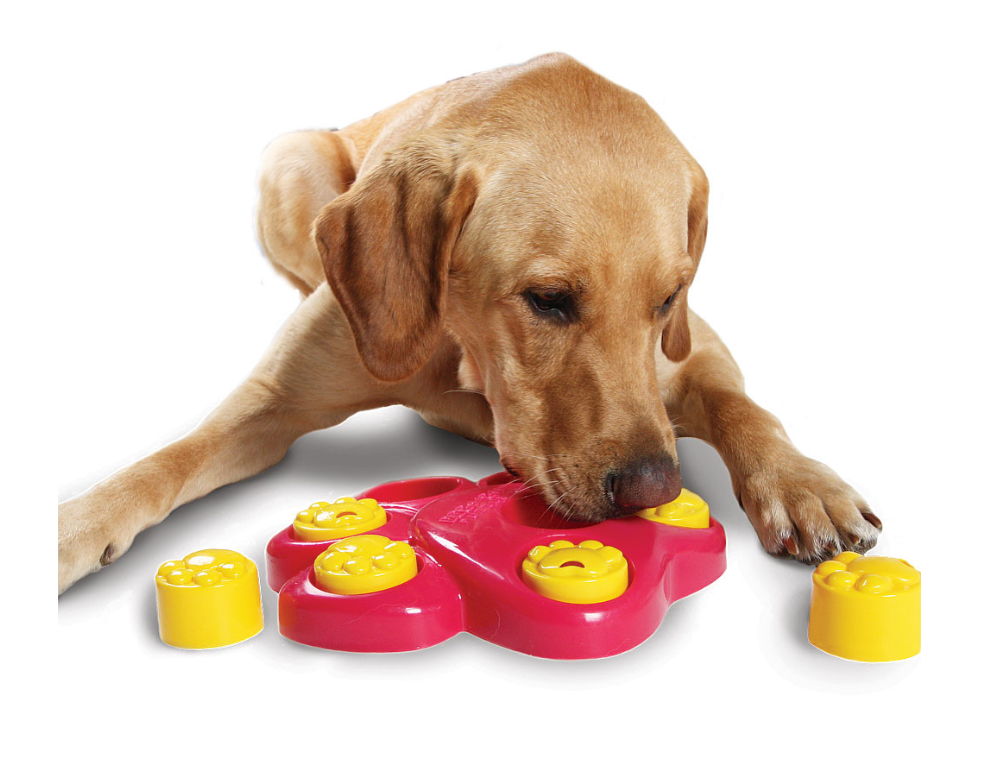 Игрушки для собак: kong, petstages, для больших и маленьких пород, развивающие и интеллектуальные, кольцо, яйцо и курица