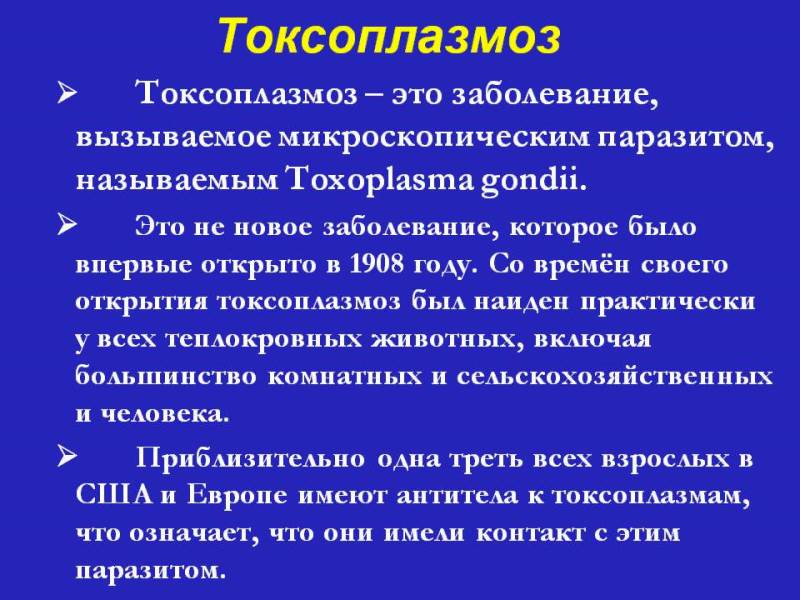 Что делать если укусил хомяк и как уберечь себя от 6 опасных заболеваний
