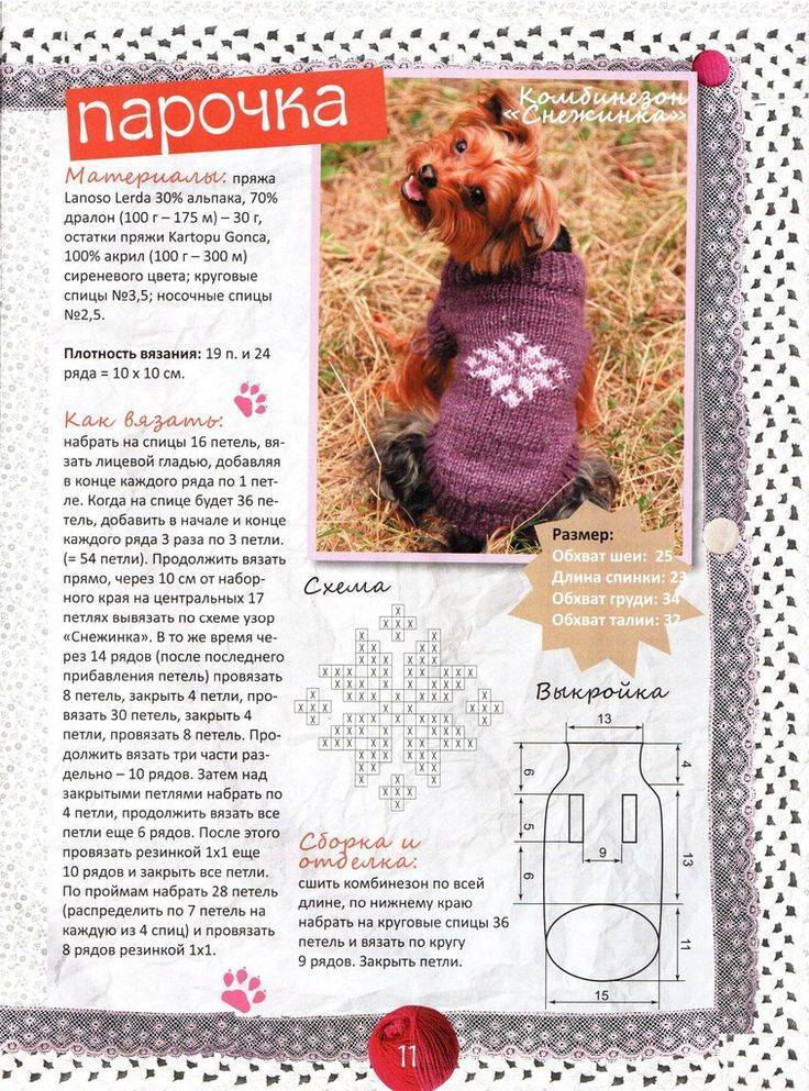 Вязание свитера для собаки спицами по схеме с описанием (мк)