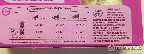 Чем кормить новорожденного котенка в домашних условиях без кошки: готовые и самодельные молочные смеси и соски