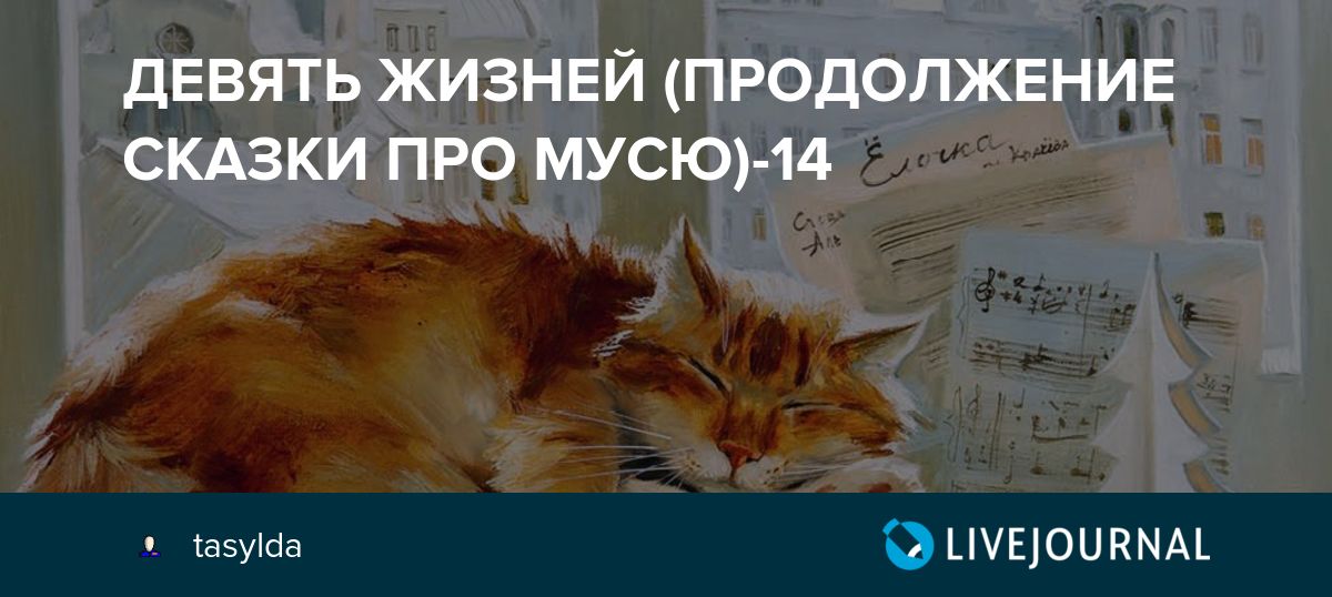 Болезни кошек: таблица симптомов с фотографиями, какие из них требуют лечения у ветеринара, чем может заразиться человек