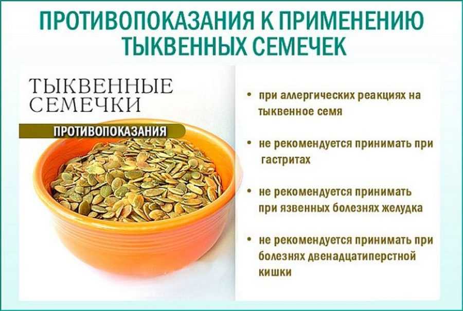 Как и чем кормить хомяка