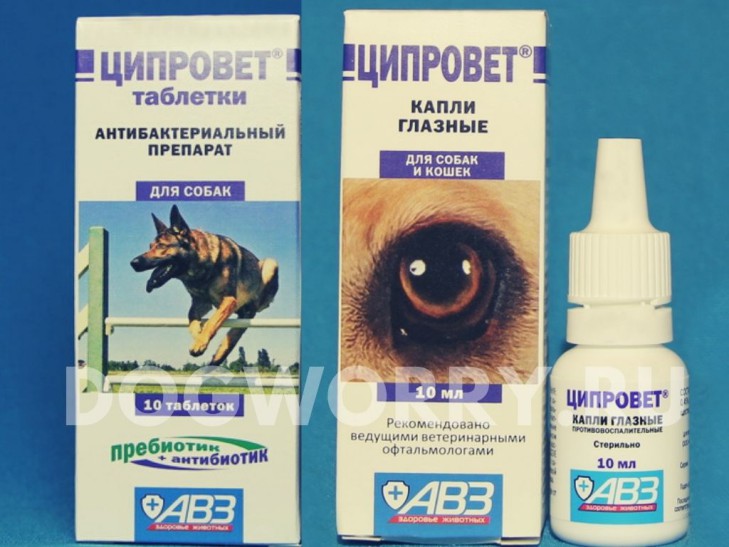 Как применять таблетки ципровет для кошек