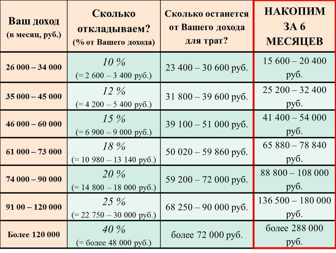 Роды у кошек - как принимать роды у кошки. ветеринарная клиника "зоостатус"