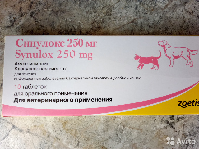 Препарат синулокс для кошек и собак