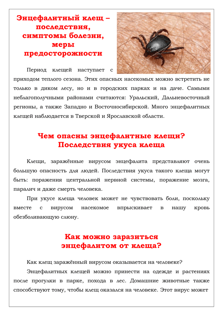 Энцефалит у собак