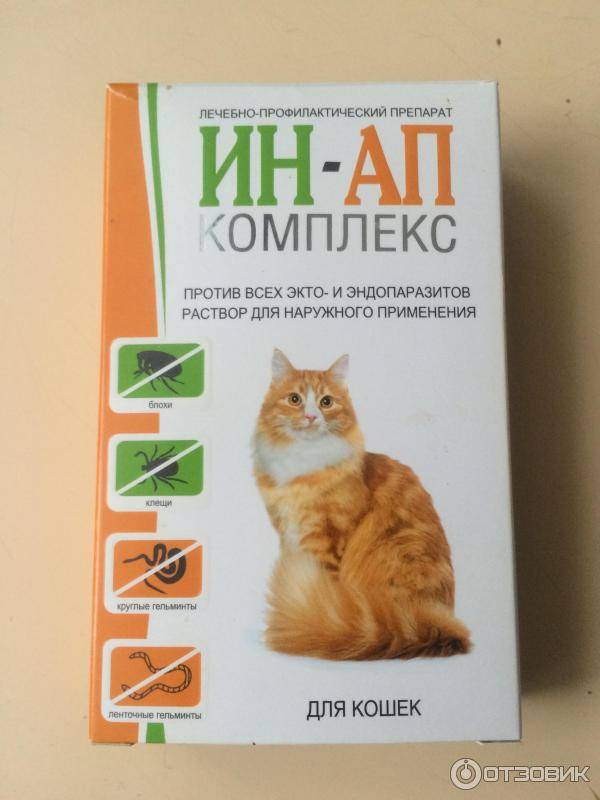 Ин-ап комплекс для кошек