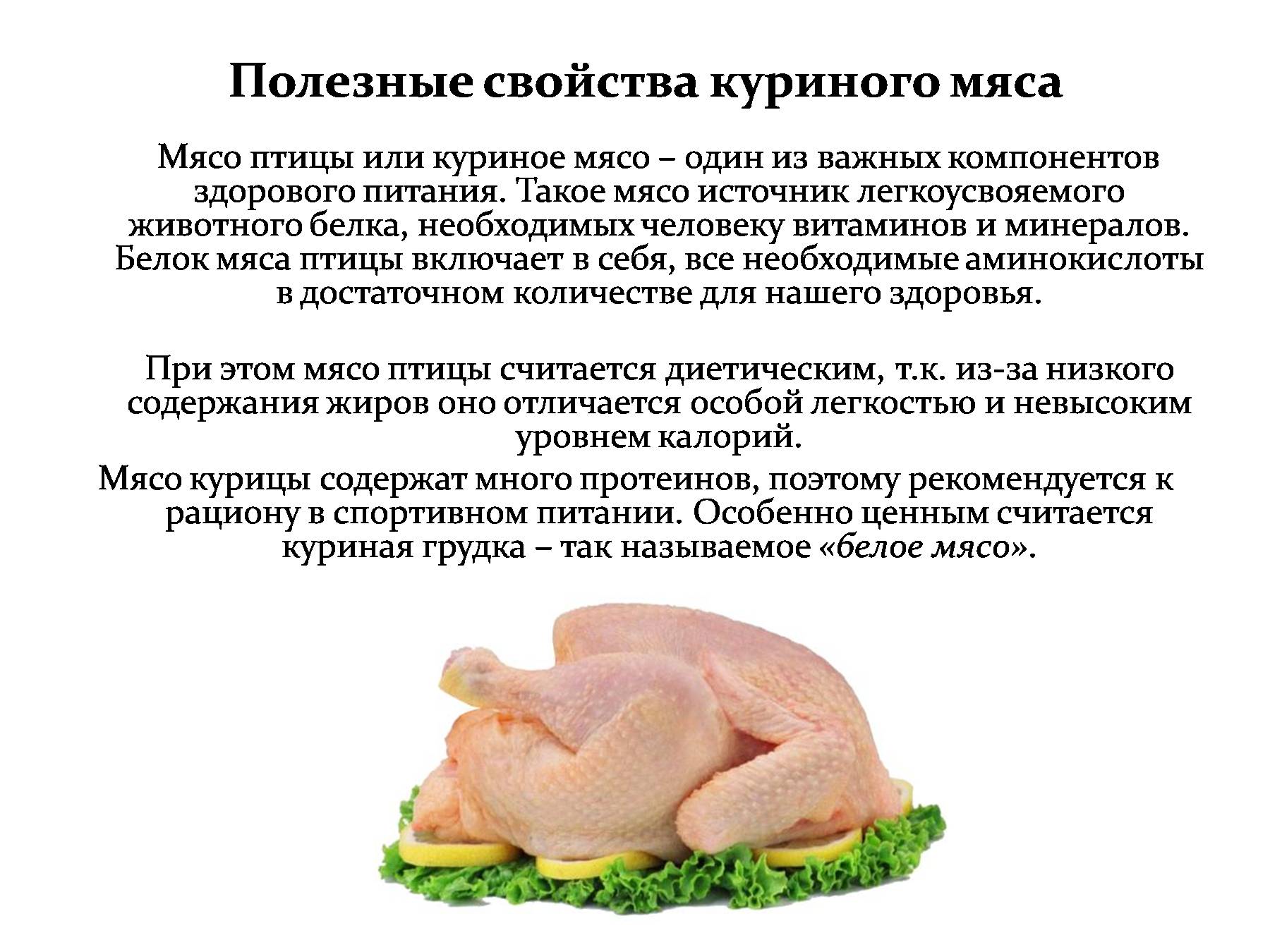 Мясо кролика — польза и вред для организма