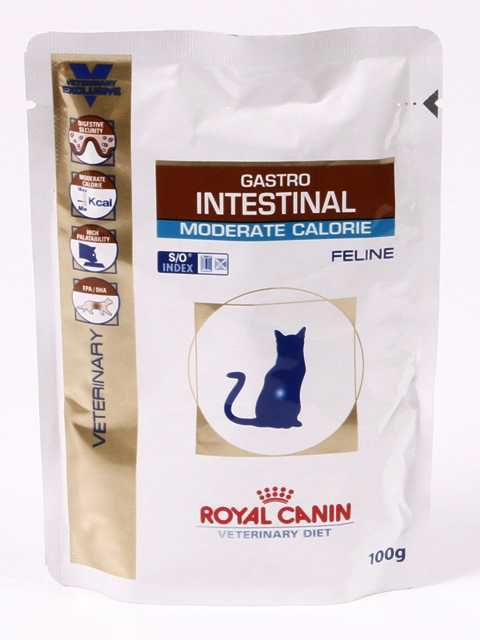 Из чего состоит корм royal canin gastro intestinal для котов: подробный обзор