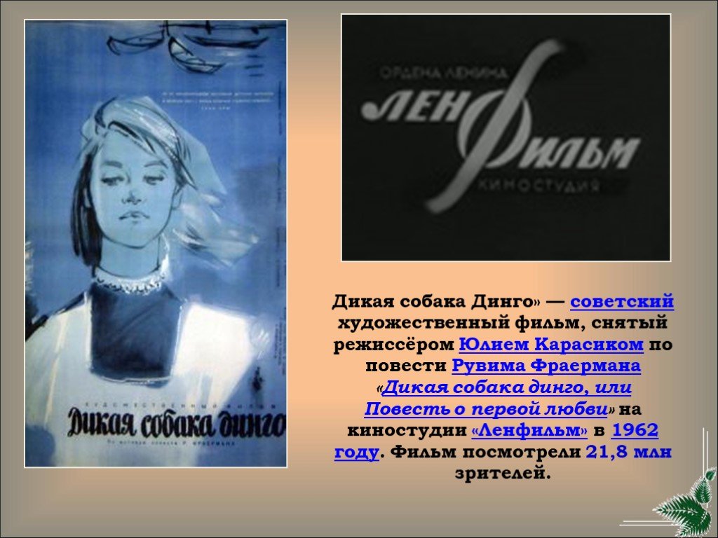 Собака динго – необычный зверь загадочного континента | живность.ру