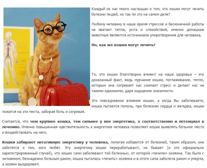 Могут ли кошки «забрать» болезнь хозяина