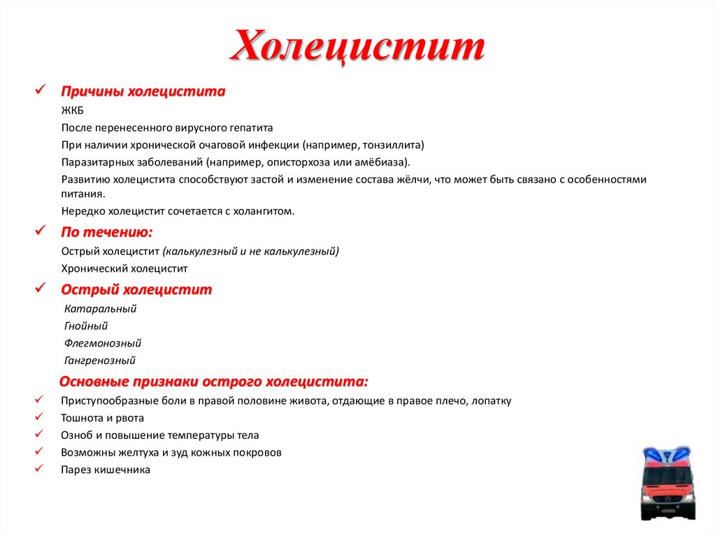Холецистит у собак: возможные причины, симптомы и лечение